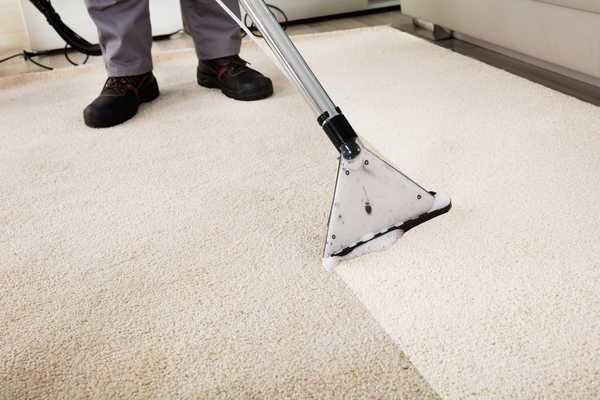 Carpet Cleaning Tips Zep The Dep